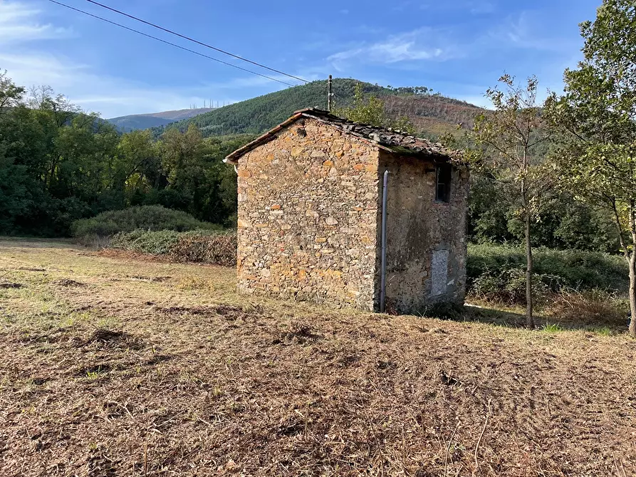 Immagine 4 di Magazzino in vendita  a Lucca