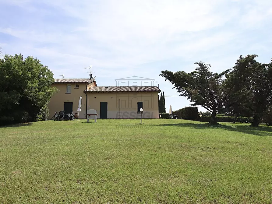 Immagine 35 di Rustico / casale in vendita  in Via Gorizia 39 a Cecina