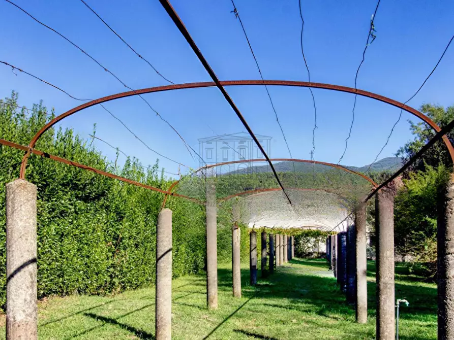 Immagine 4 di Villa in vendita  in Via della Chiesa VII 351 a Lucca