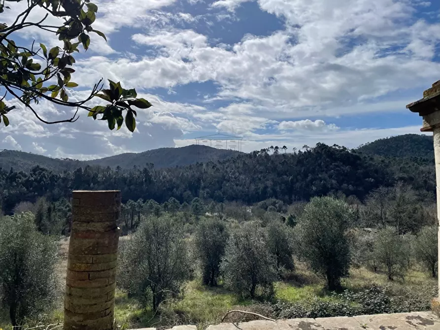 Immagine 28 di Villa in vendita  a Lucca