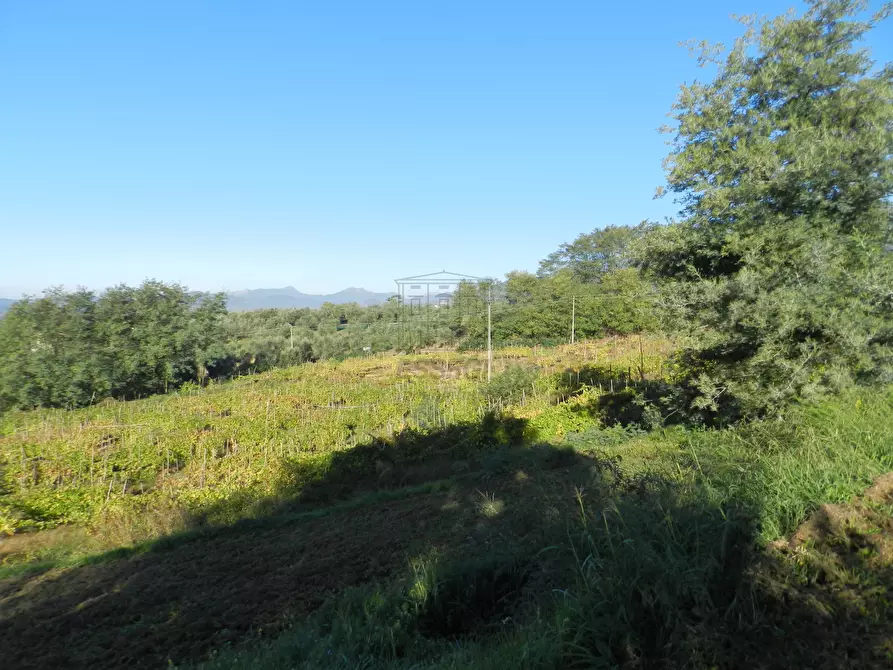 Immagine 27 di Rustico / casale in vendita  in Via di Palmata 425 a Lucca