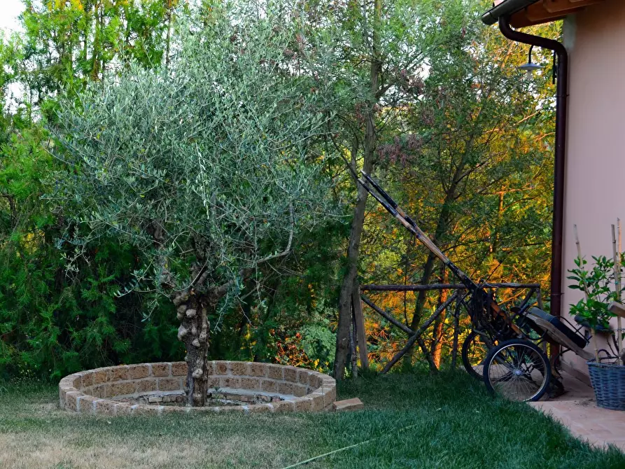 Immagine 7 di Rustico / casale in vendita  in via di san martino a Lucca