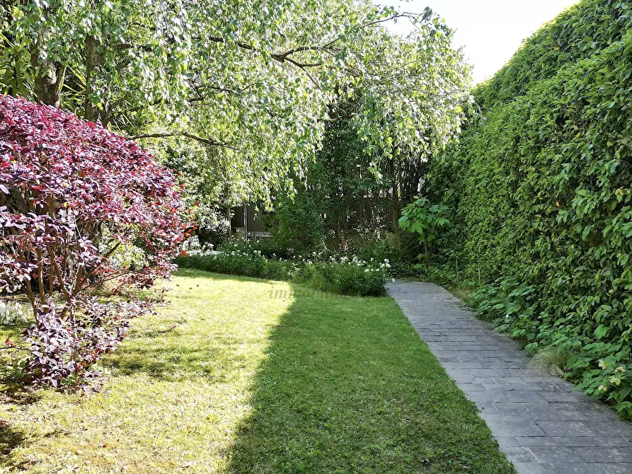 Immagine 2 di Villa in vendita  in Via Borgo Giannotti 120 a Lucca