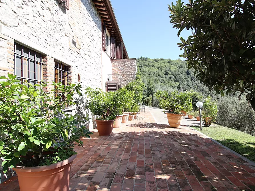 Immagine 53 di Rustico / casale in vendita  in Località Frantoio, Valdottavo 17 a Borgo A Mozzano