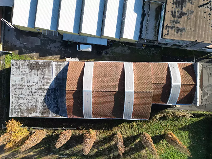 Immagine 6 di Capannone industriale in vendita  in Traversa I Via delle Fornacette 109 a Lucca