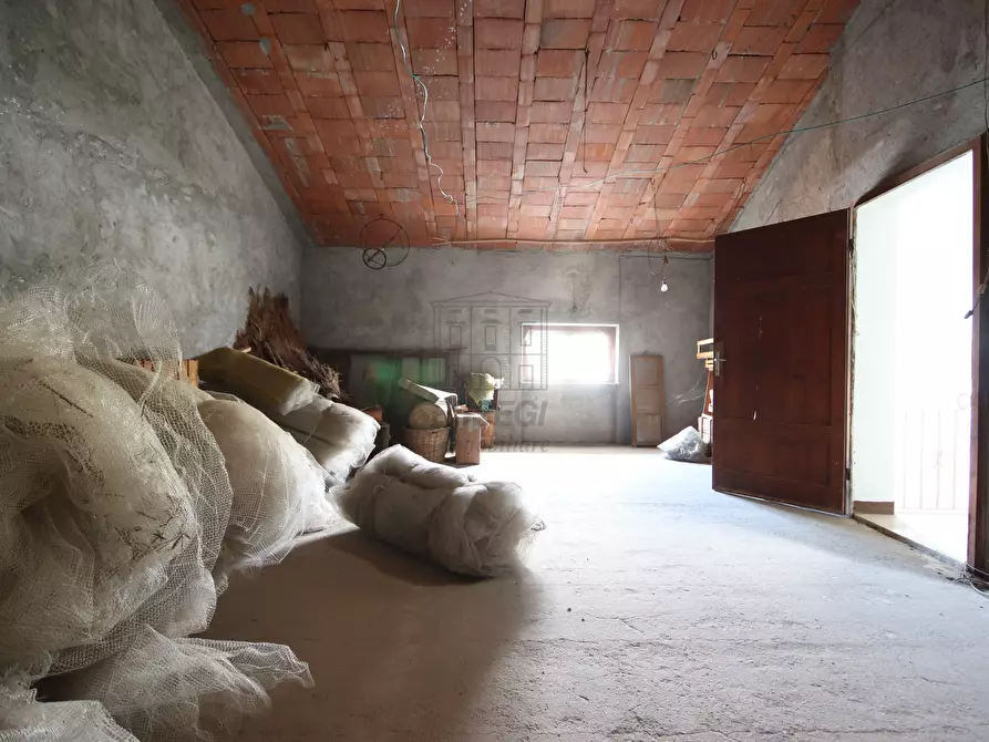 Immagine 24 di Villa in vendita  in Via di Mammoli a Lucca