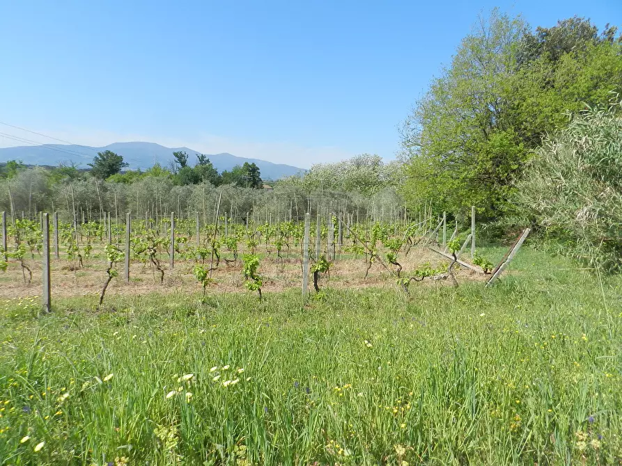 Immagine 20 di Rustico / casale in vendita  in Via del Marginone a Montecarlo