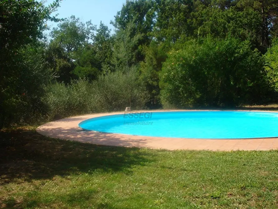 Immagine 6 di Rustico / casale in vendita  in Via del Marginone a Montecarlo