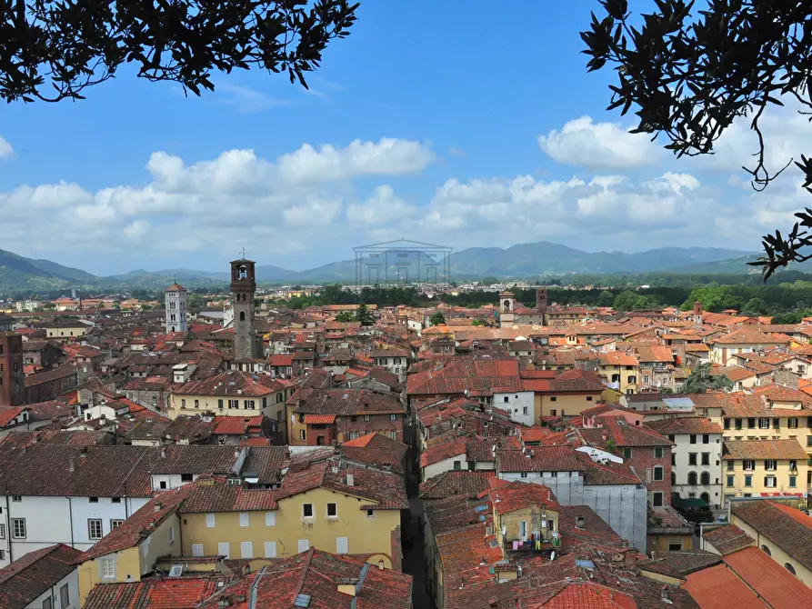 Immagine 9 di Locale commerciale in affitto  a Lucca