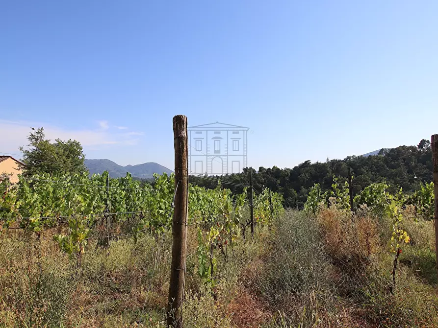 Immagine 15 di Rustico / casale in vendita  in Via del Francia 95 a Lucca