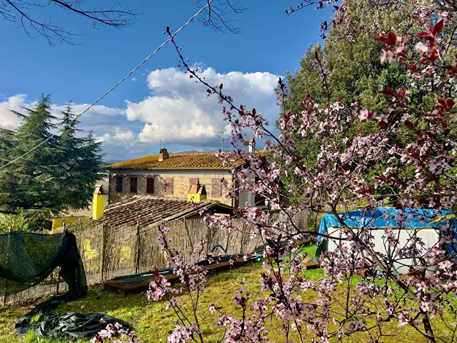 Immagine 5 di Rustico / casale in vendita  in Via di San Martino a Porcari