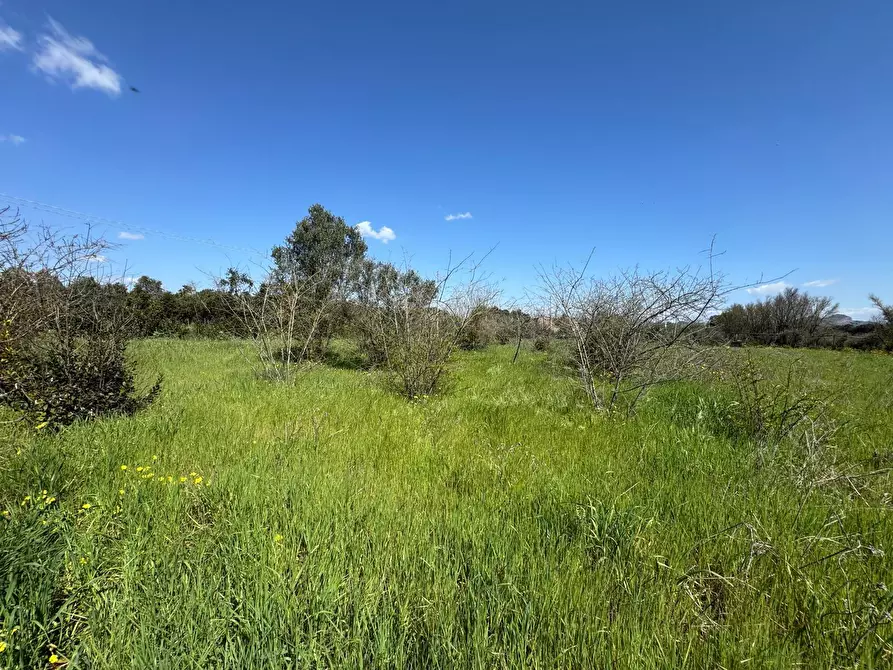 Immagine 1 di Terreno agricolo in vendita  a San Sperate