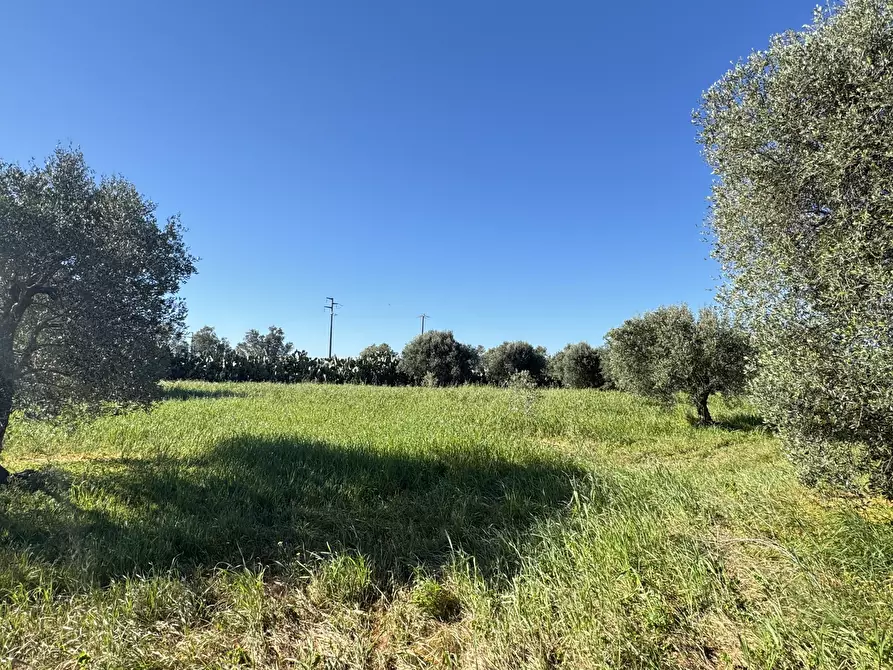 Immagine 15 di Magazzino in vendita  a Monastir