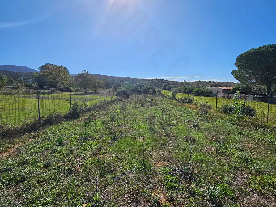 Immagine 2 di Terreno agricolo in vendita  in Via delle More a Quartucciu