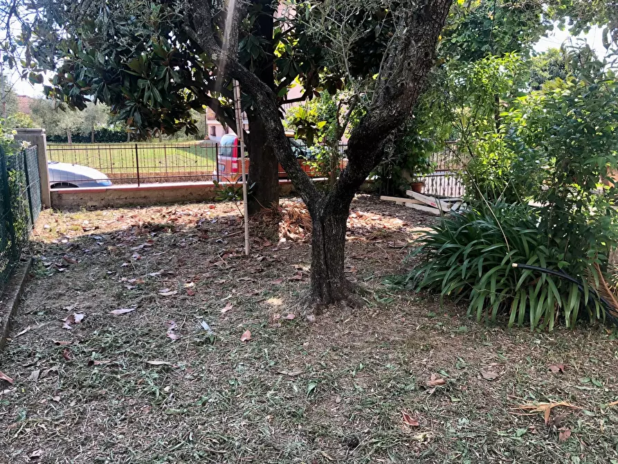 Immagine 15 di Porzione di casa in vendita  a Castelnuovo Magra