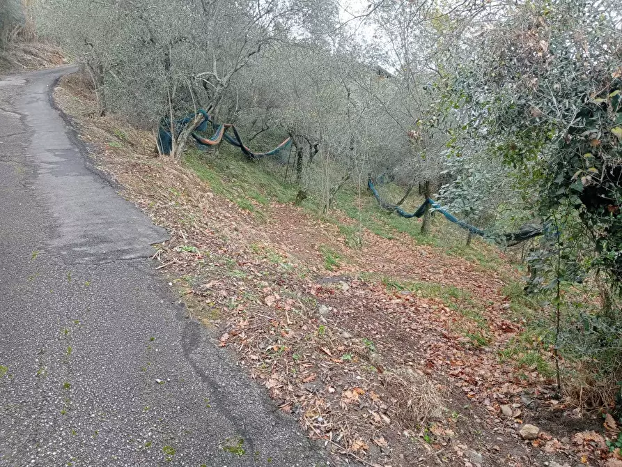 Immagine 5 di Terreno edificabile in vendita  a Ameglia