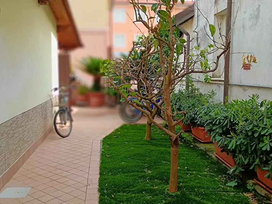 Immagine 37 di Casa semindipendente in vendita  a Ameglia