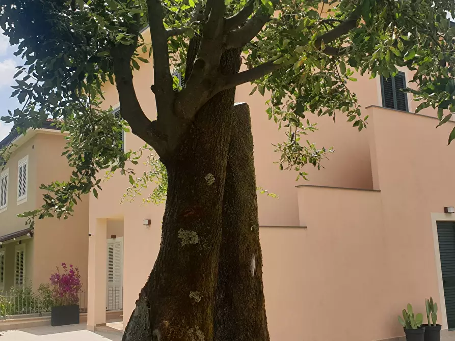 Immagine 7 di Appartamento in affitto  in Via Cisa a Sarzana