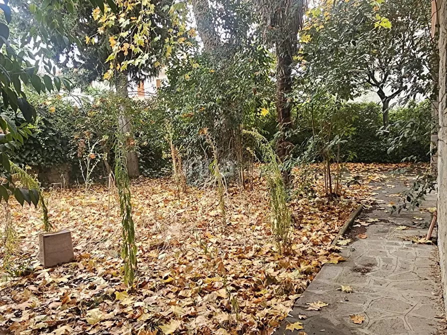 Immagine 13 di Casa indipendente in vendita  in Viale Verdi snc a Jesi