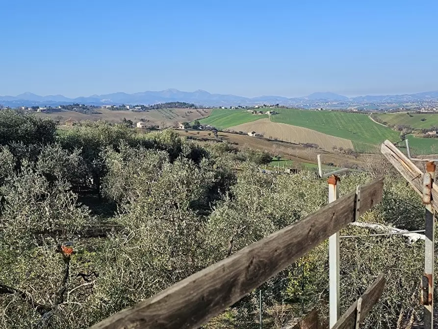 Immagine 4 di Casa indipendente in vendita  in Via Fontenova snc a Jesi