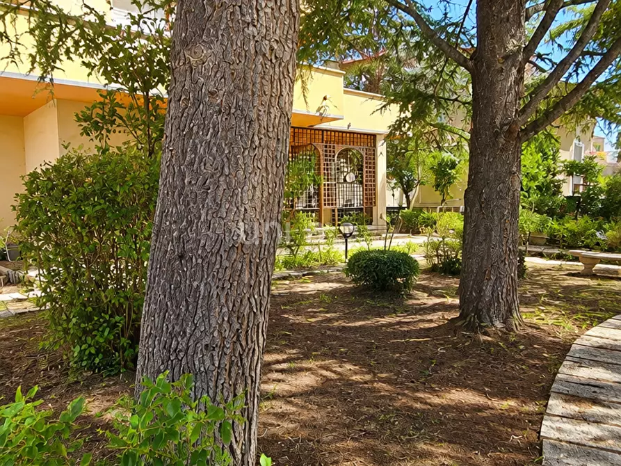 Immagine 3 di Casa indipendente in vendita  in Via Sant'Ubaldo snc a Monsano