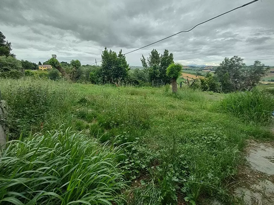 Immagine 23 di Casa indipendente in vendita  a Morro D'alba