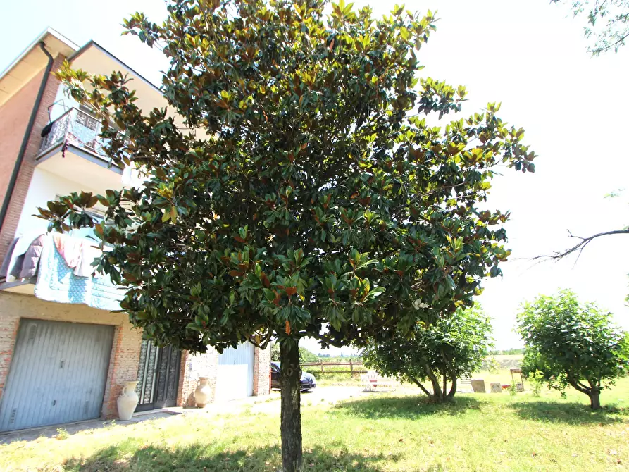 Immagine 26 di Casa indipendente in vendita  in Via Vanotto a Valsamoggia