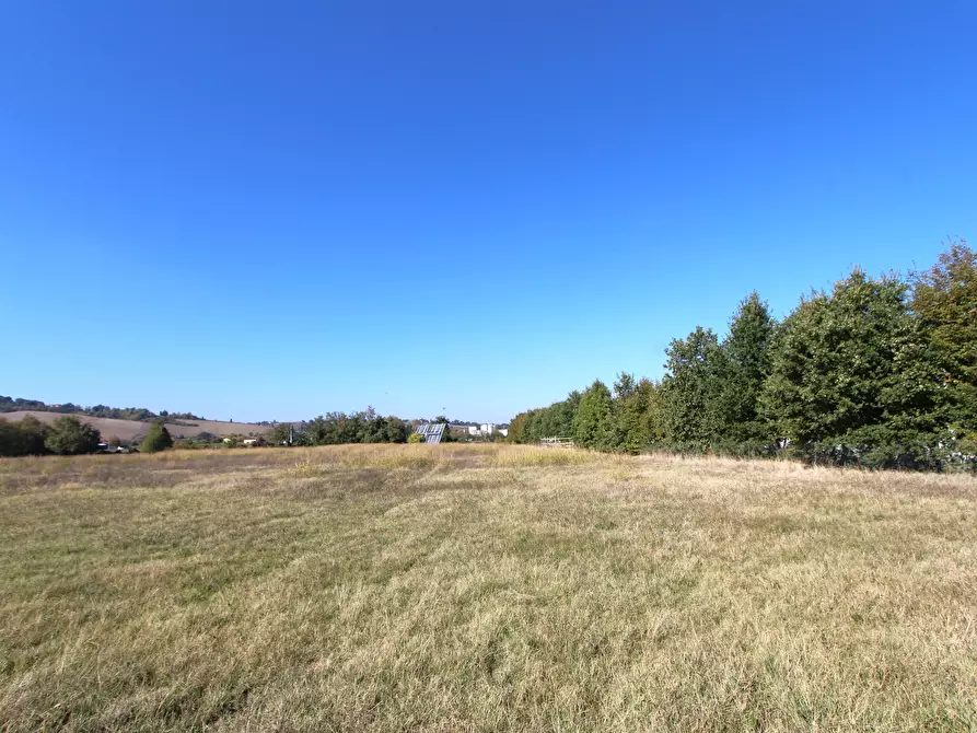 Immagine 13 di Terreno industriale in vendita  in Via Cassola a Valsamoggia