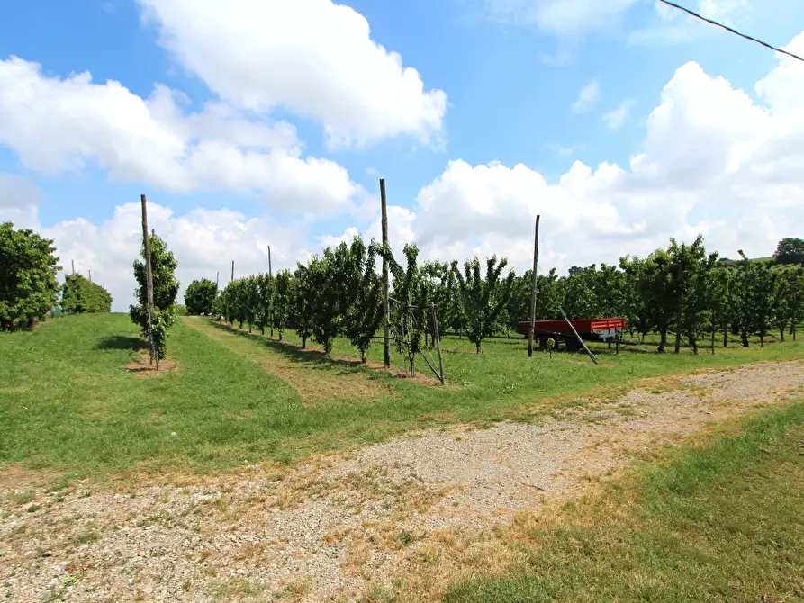 Immagine 11 di Terreno agricolo in vendita  in Via San Francesco a Valsamoggia
