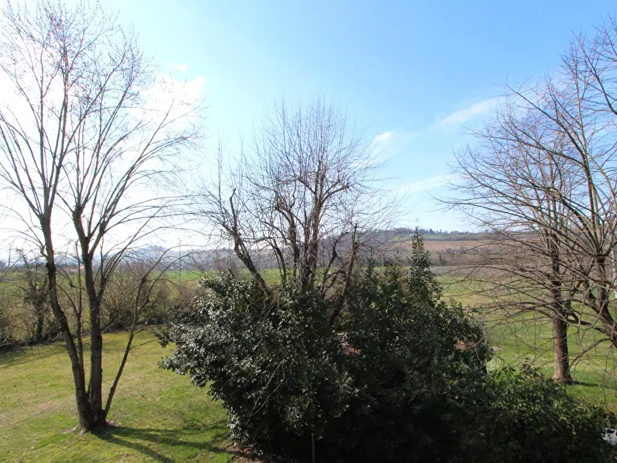 Immagine 47 di Villa in vendita  in SP76 17 a Valsamoggia