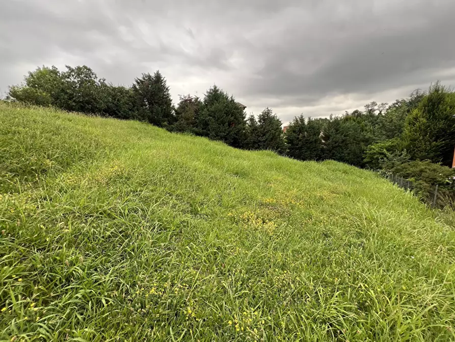 Immagine 1 di Terreno agricolo in vendita  in Via Stella a Valsamoggia