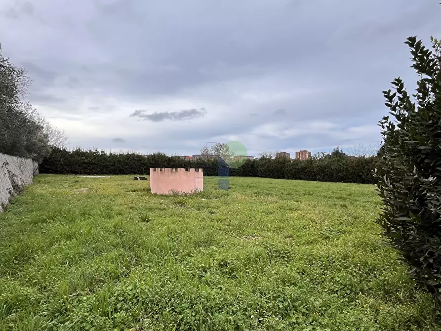 Immagine 3 di Terreno agricolo in vendita  in Via della Padula 12 a Livorno