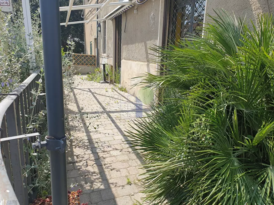 Immagine 9 di Bar / Ristorante in affitto  a Livorno