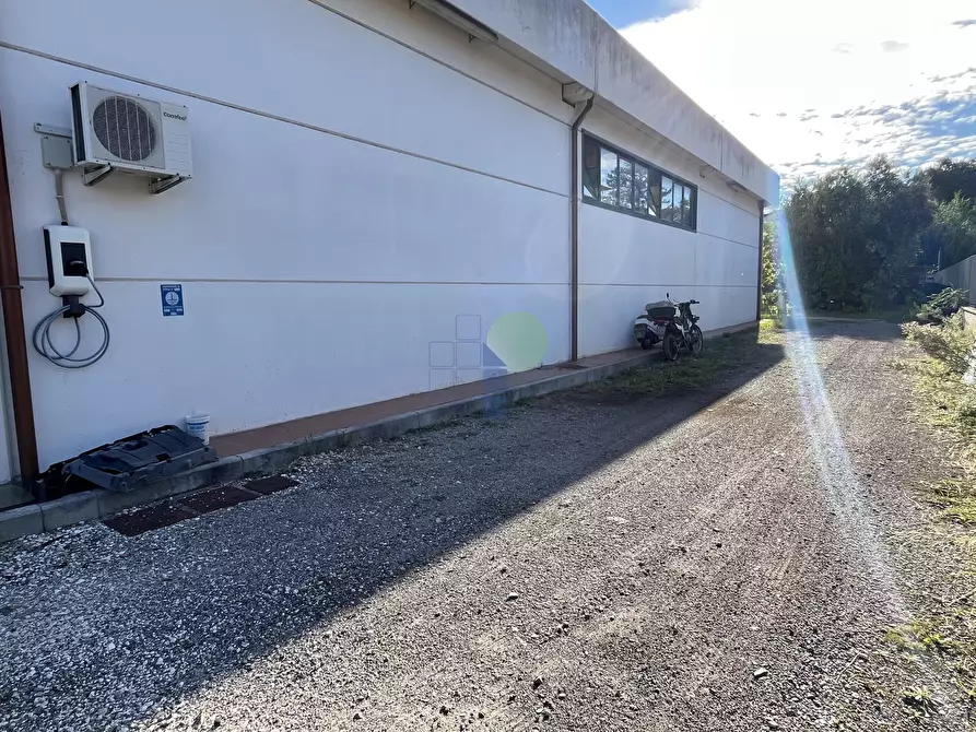 Immagine 19 di Attività artigianale in affitto  in Via dei Materassai 11 a Livorno