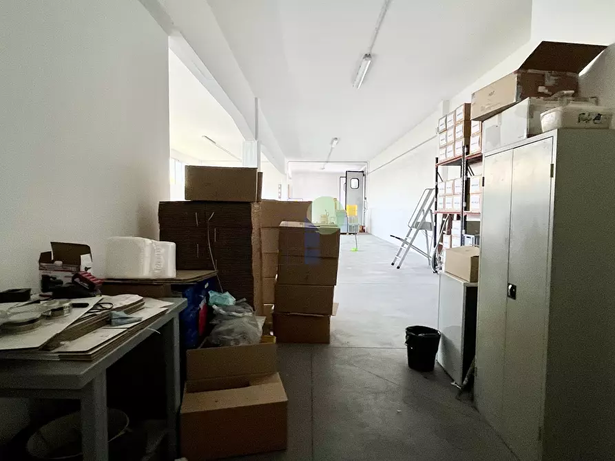 Immagine 9 di Attività artigianale in affitto  in Via Aurelio Nicolodi 46 a Livorno