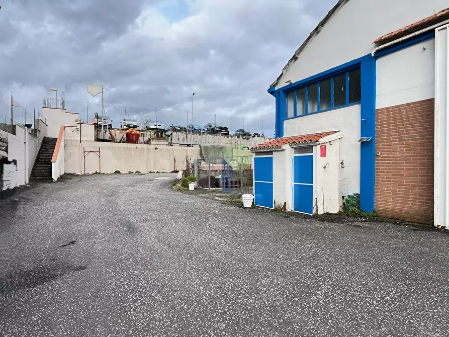 Immagine 6 di Attività artigianale in vendita  in Via di Poggio Gagliardo 11 a Montescudaio