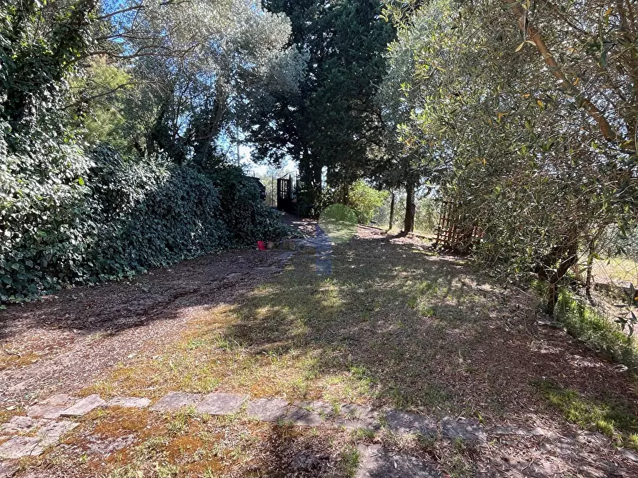 Immagine 19 di Terreno agricolo in vendita  in Via delle More 8 a Livorno