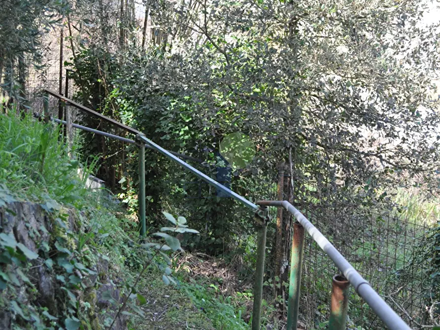 Immagine 2 di Terreno agricolo in vendita  in Via di Popogna 441 a Livorno