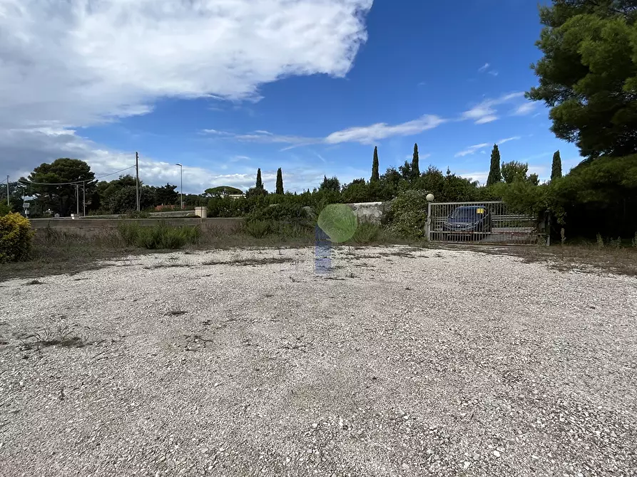 Immagine 11 di Locale commerciale in affitto  in Via di Montenero a Livorno
