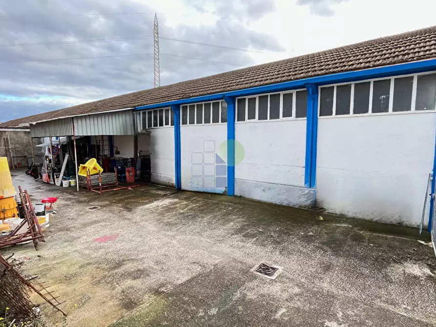 Immagine 7 di Attività artigianale in vendita  in Via di Poggio Gagliardo 11 a Montescudaio