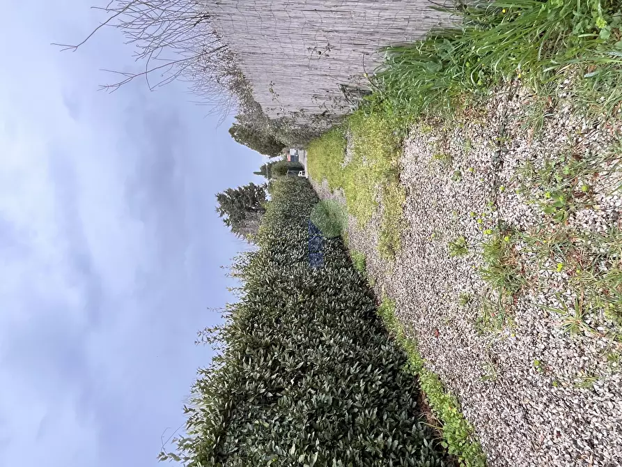 Immagine 4 di Terreno agricolo in vendita  in Via della Padula 12 a Livorno