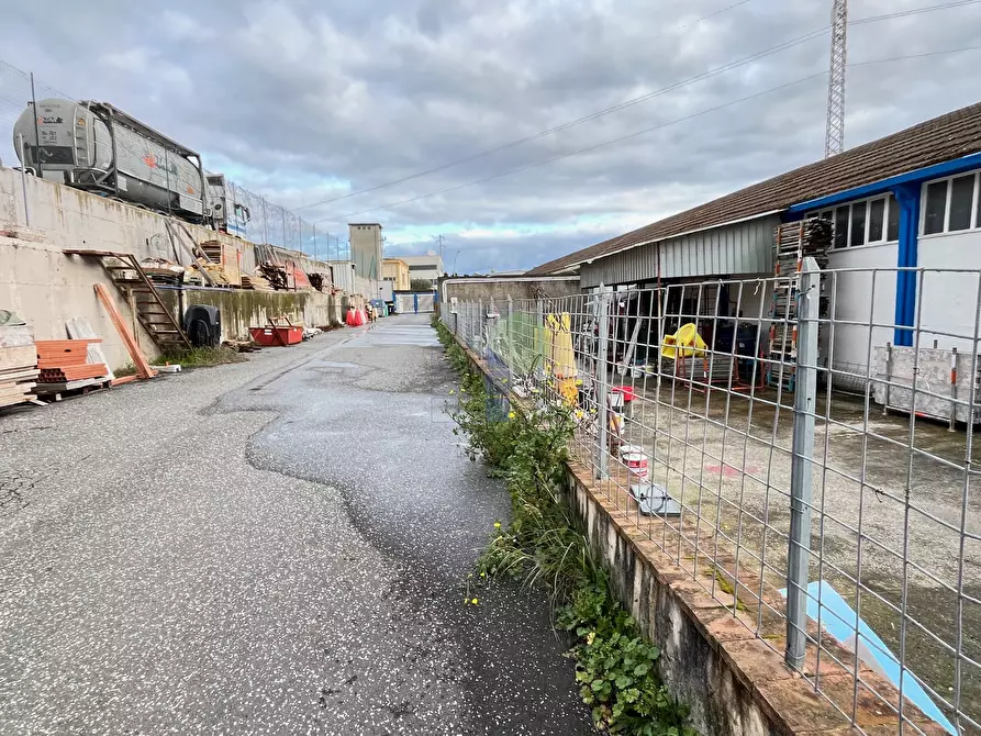 Immagine 9 di Attività artigianale in vendita  in Via di Poggio Gagliardo 11 a Montescudaio