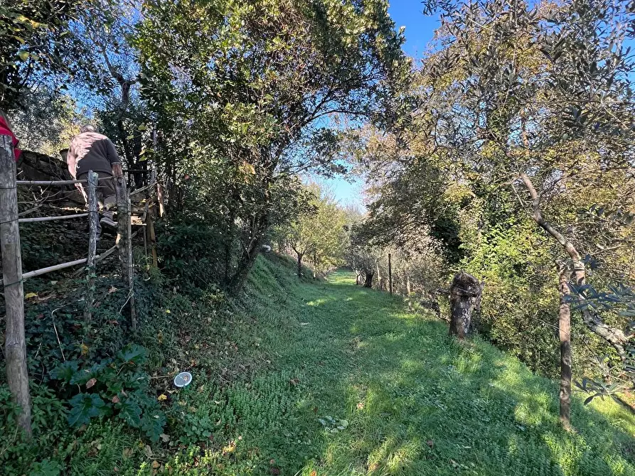 Immagine 56 di Casa indipendente in vendita  in Via Poggio di Pozzolatico a Impruneta