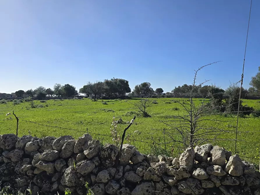 Immagine 10 di Terreno agricolo in vendita  in C.DA CUGNI SNC a Siracusa