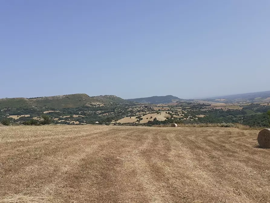 Immagine 47 di Rustico / casale in vendita  in c.da Poi a Palazzolo Acreide