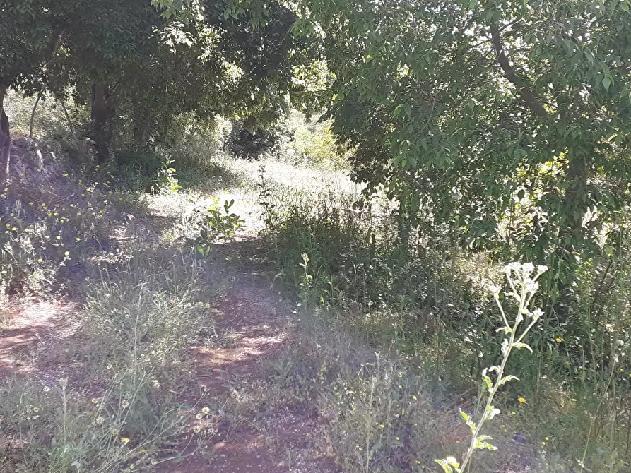 Immagine 19 di Villa in vendita  in Strada Statale 287 a Noto