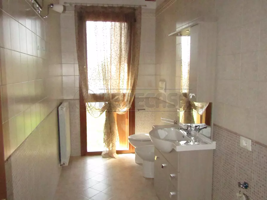 Immagine 6 di Appartamento in affitto  a Borgoricco