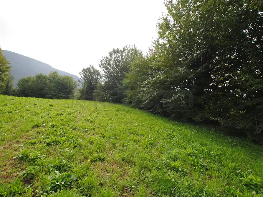 Immagine 8 di Terreno edificabile in vendita  in Via Tovi a Cornedo Vicentino
