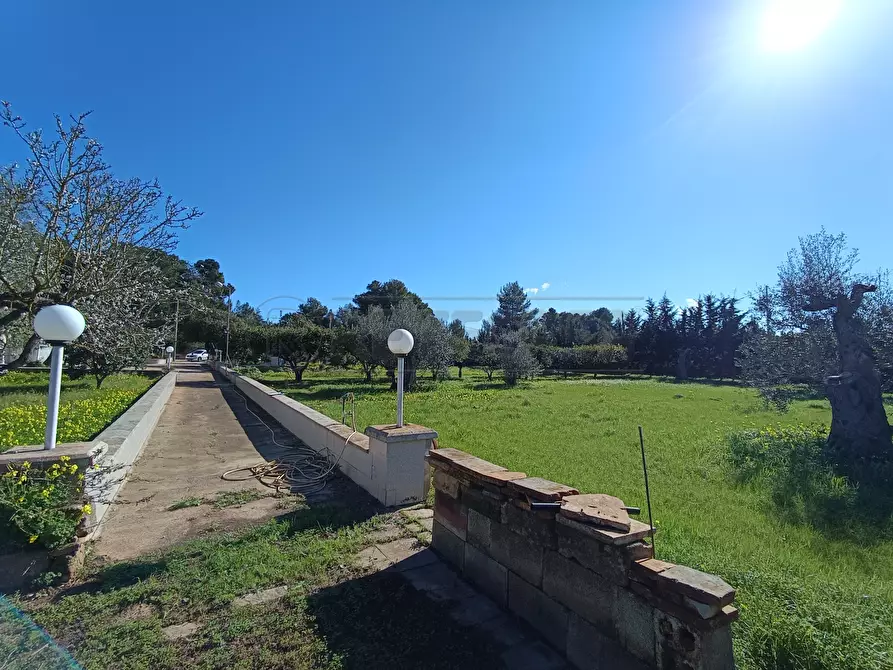 Immagine 9 di Villa in vendita  in Via B. Ravenna 49 a Gallipoli