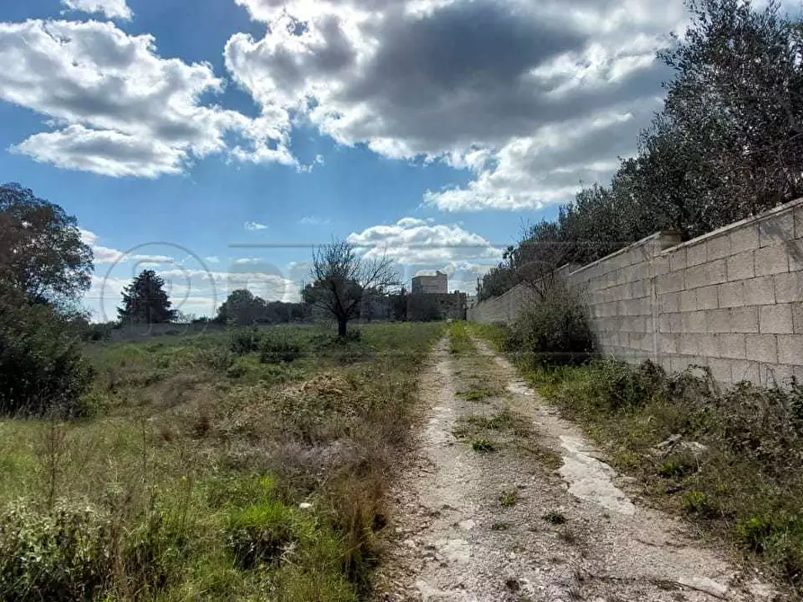 Immagine 1 di Villa in vendita  in Contrada Luci a Maglie